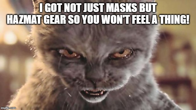 Evil Cat | I GOT NOT JUST MASKS BUT HAZMAT GEAR SO YOU WON'T FEEL A THING! | image tagged in evil cat | made w/ Imgflip meme maker