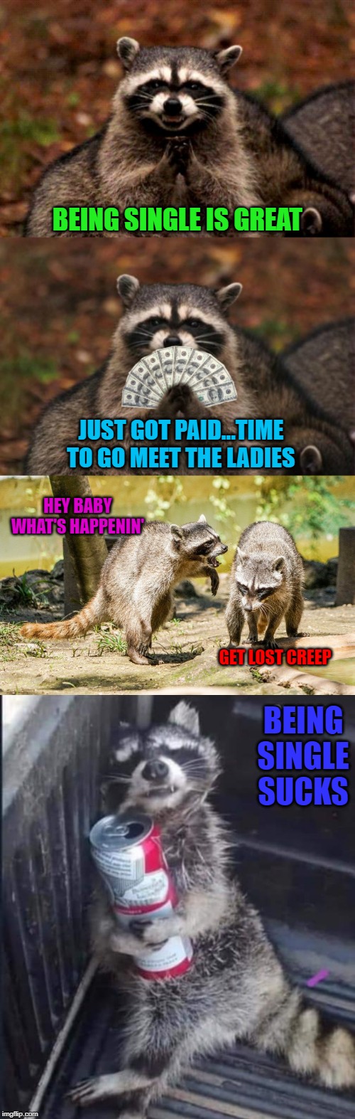 The lighter side of dating... | BEING SINGLE IS GREAT; JUST GOT PAID...TIME TO GO MEET THE LADIES; HEY BABY WHAT'S HAPPENIN'; GET LOST CREEP; BEING SINGLE SUCKS | image tagged in memes,evil plotting raccoon,being single,funny,lighter side of dating,raccoon with cash | made w/ Imgflip meme maker