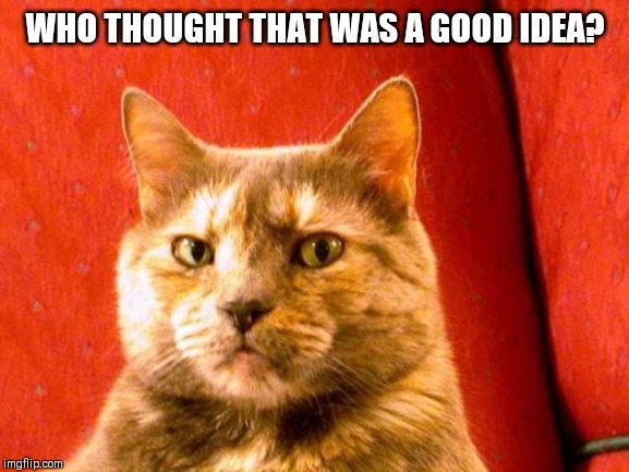 Suspicious Cat Meme | WHO THOUGHT THAT WAS A GOOD IDEA? | image tagged in memes,suspicious cat | made w/ Imgflip meme maker