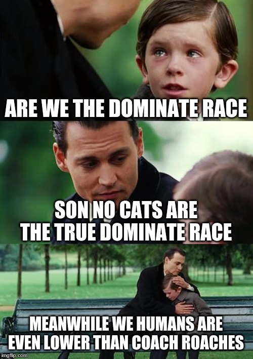 Finding Neverland | ARE WE THE DOMINATE RACE; SON NO CATS ARE THE TRUE DOMINATE RACE; MEANWHILE WE HUMANS ARE EVEN LOWER THAN COACH ROACHES | image tagged in memes,finding neverland | made w/ Imgflip meme maker