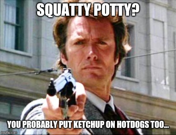 Dirty harry | SQUATTY POTTY? YOU PROBABLY PUT KETCHUP ON HOTDOGS TOO... | image tagged in dirty harry | made w/ Imgflip meme maker