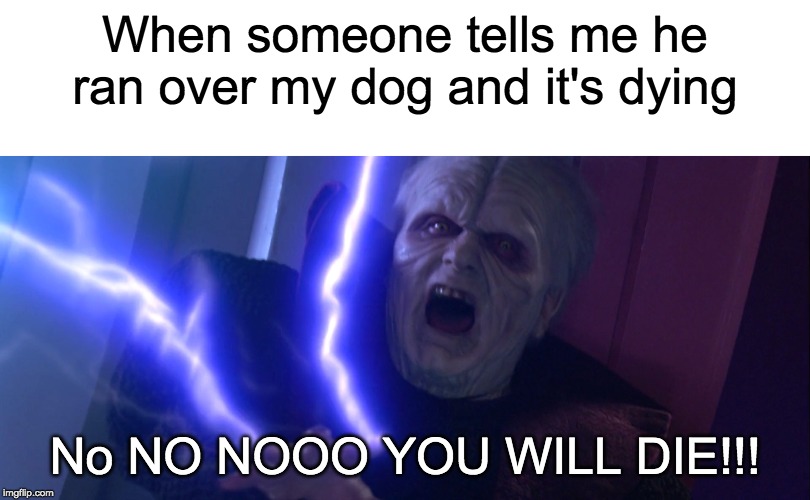 Kinda dark but still funny | When someone tells me he ran over my dog and it's dying; No NO NOOO YOU WILL DIE!!! | image tagged in funny,memes,emperor palpatine,darth sidious | made w/ Imgflip meme maker
