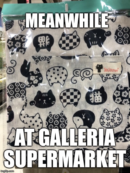 MEANWHILE; AT GALLERIA SUPERMARKET | image tagged in memes,cats,apron | made w/ Imgflip meme maker