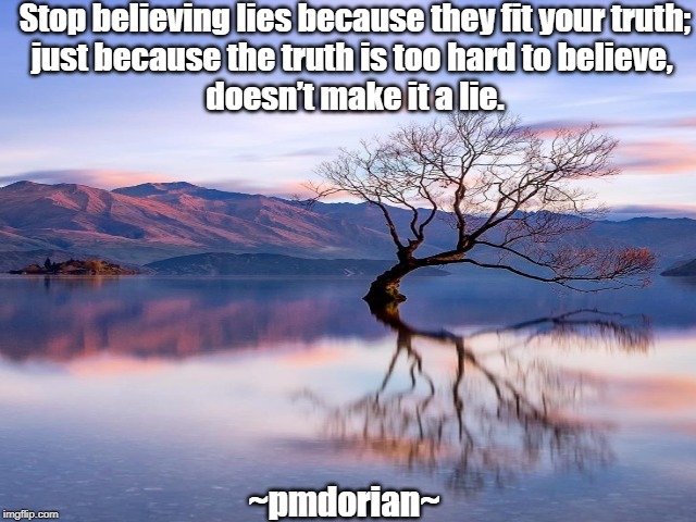 Stop believing lies because they fit your truth;
just because the truth is too hard to believe, 
doesn’t make it a lie. ~pmdorian~ | image tagged in so true memes | made w/ Imgflip meme maker