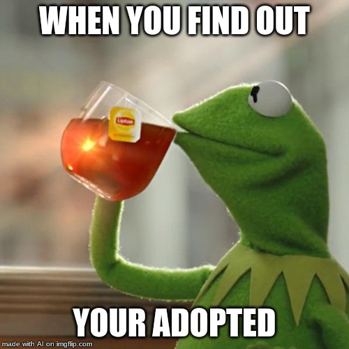 But That's None Of My Business | WHEN YOU FIND OUT; YOUR ADOPTED | image tagged in memes,but thats none of my business,kermit the frog | made w/ Imgflip meme maker