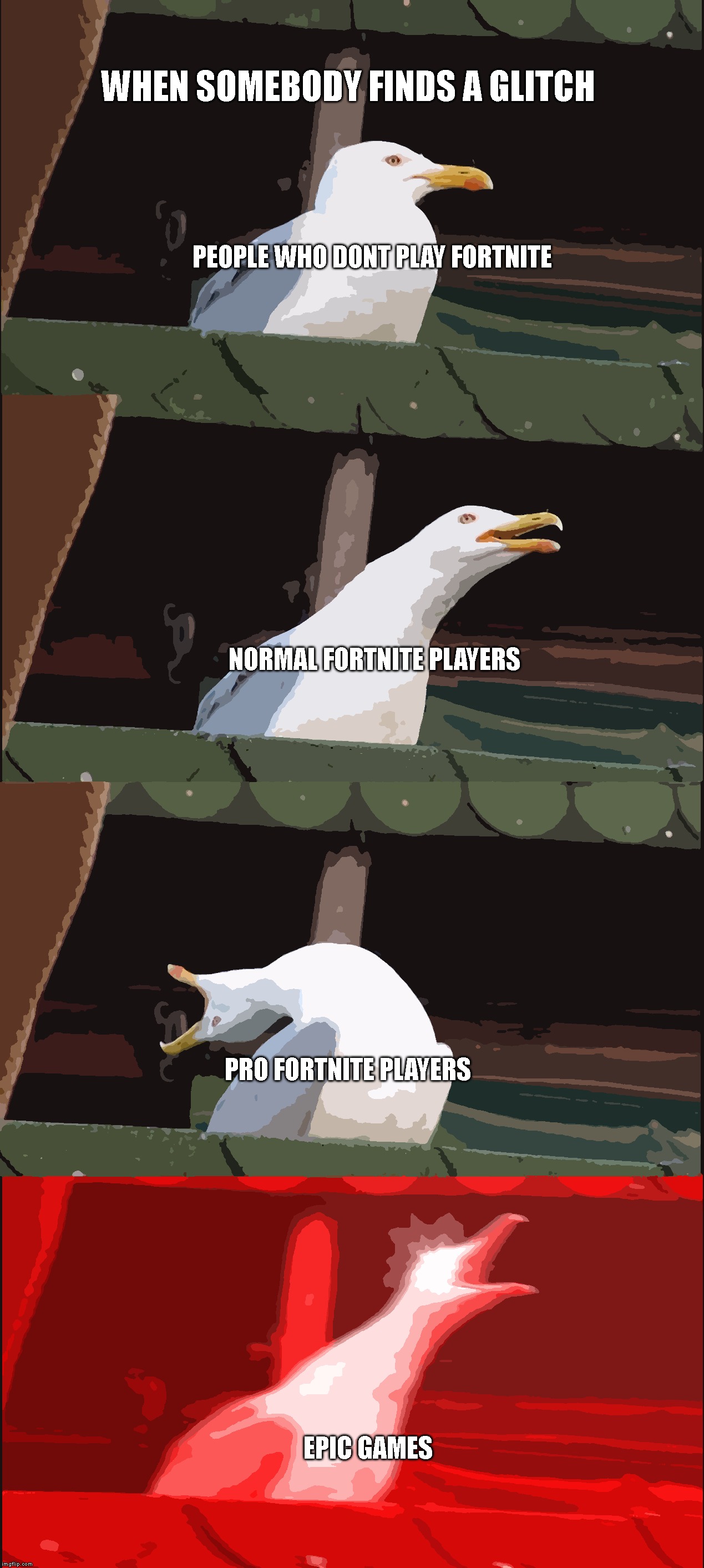 Inhaling Seagull Meme | WHEN SOMEBODY FINDS A GLITCH; PEOPLE WHO DONT PLAY FORTNITE; NORMAL FORTNITE PLAYERS; PRO FORTNITE PLAYERS; EPIC GAMES | image tagged in memes,inhaling seagull | made w/ Imgflip meme maker
