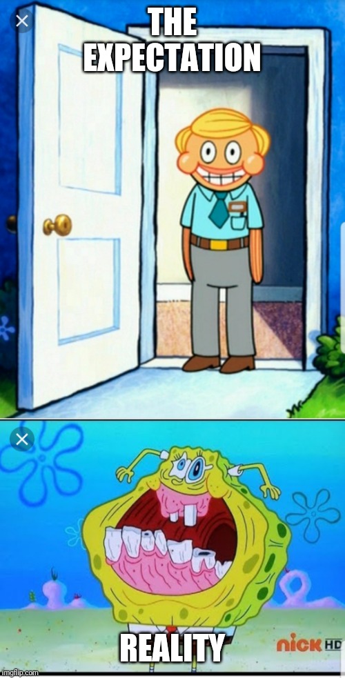THE EXPECTATION; REALITY | image tagged in spongebob,memes | made w/ Imgflip meme maker