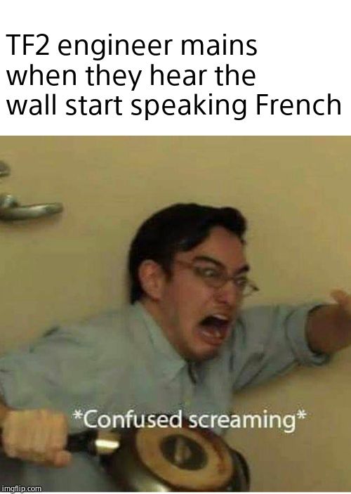 TF2 Casual servers in a nutshell | TF2 engineer mains when they hear the wall start speaking French | image tagged in confused screaming | made w/ Imgflip meme maker