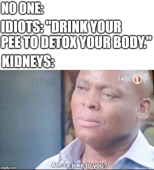 Kidneys are a thing | NO ONE:; IDIOTS: "DRINK YOUR PEE TO DETOX YOUR BODY."; KIDNEYS: | image tagged in am i a joke to you,why | made w/ Imgflip meme maker