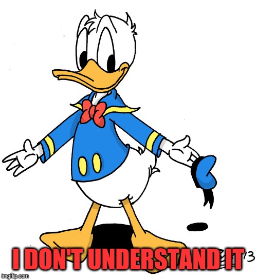 donald duck shrugs | I DON'T UNDERSTAND IT | image tagged in donald duck shrugs | made w/ Imgflip meme maker