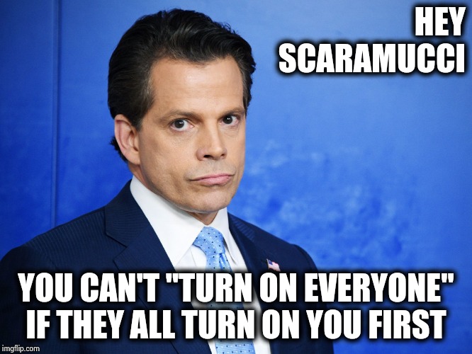 He got fired for not paying attention | HEY
 SCARAMUCCI; YOU CAN'T "TURN ON EVERYONE" IF THEY ALL TURN ON YOU FIRST | image tagged in scaramucci sad,nevertrump,moron,traitor,democrat,hiding | made w/ Imgflip meme maker