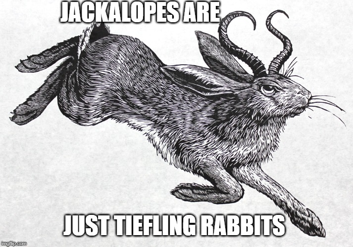 Jackalope Tiefling | JACKALOPES ARE; JUST TIEFLING RABBITS | image tagged in jackalope tiefling,DnD | made w/ Imgflip meme maker