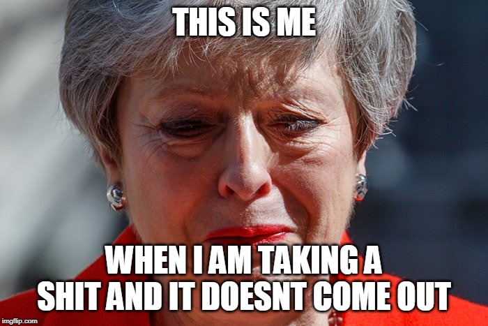 Theresa May Crying |  THIS IS ME; WHEN I AM TAKING A SHIT AND IT DOESNT COME OUT | image tagged in theresa may crying | made w/ Imgflip meme maker