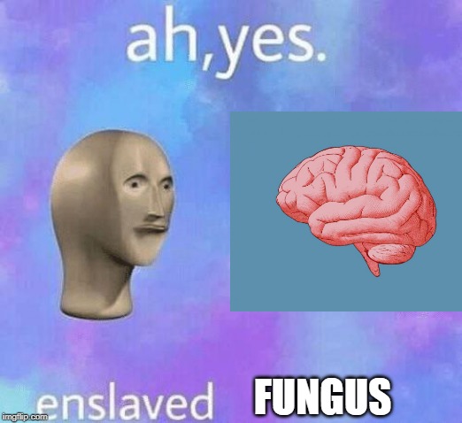 Ah Yes enslaved |  FUNGUS | image tagged in ah yes enslaved | made w/ Imgflip meme maker