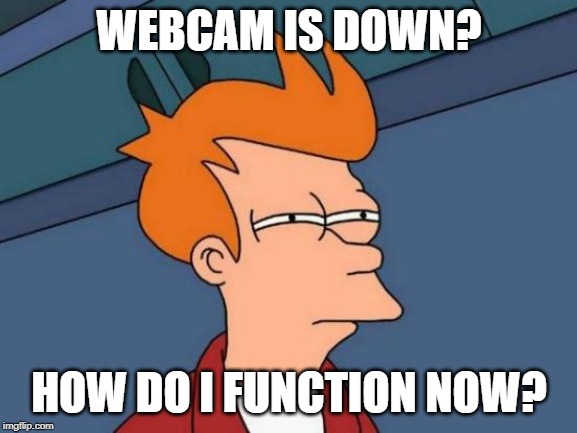 Futurama Fry Meme | WEBCAM IS DOWN? HOW DO I FUNCTION NOW? | image tagged in memes,futurama fry | made w/ Imgflip meme maker