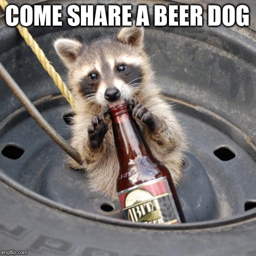 COME SHARE A BEER DOG | made w/ Imgflip meme maker