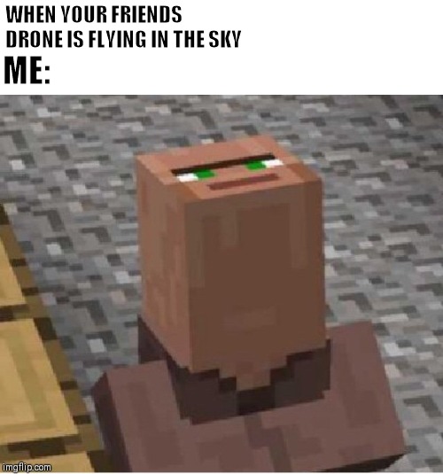 Minecraft Villager Looking Up | WHEN YOUR FRIENDS DRONE IS FLYING IN THE SKY; ME: | image tagged in minecraft villager looking up | made w/ Imgflip meme maker