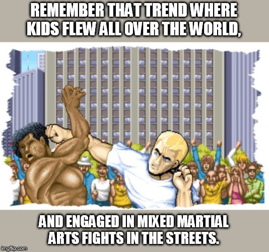 Like how pacman led to kids eating tide pods. | REMEMBER THAT TREND WHERE KIDS FLEW ALL OVER THE WORLD, AND ENGAGED IN MIXED MARTIAL ARTS FIGHTS IN THE STREETS. | image tagged in street fighter,video games,violence | made w/ Imgflip meme maker