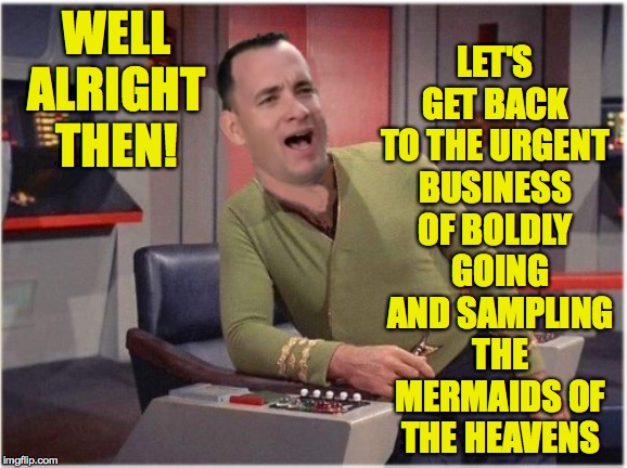 Capt Forrest Kirk | WELL ALRIGHT THEN! GOING AND SAMPLING THE MERMAIDS OF THE HEAVENS LET'S GET BACK TO THE URGENT BUSINESS OF BOLDLY | image tagged in capt forrest kirk | made w/ Imgflip meme maker