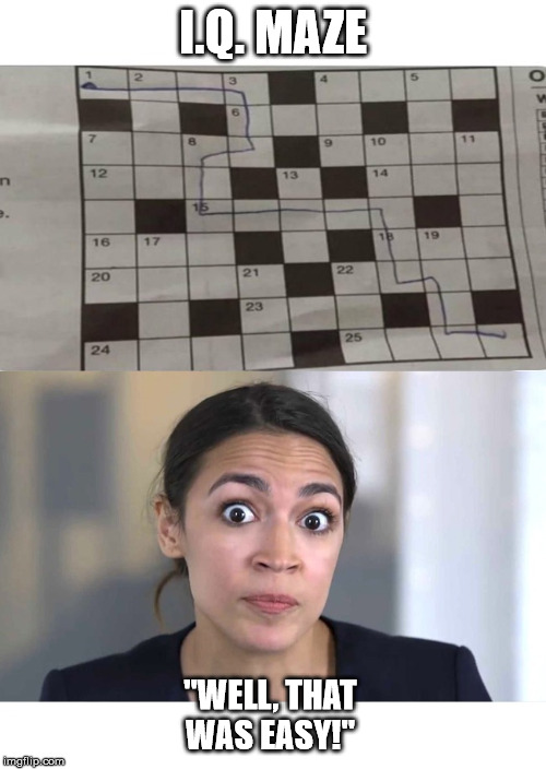 IQ Maze | I.Q. MAZE; "WELL, THAT WAS EASY!" | image tagged in aoc | made w/ Imgflip meme maker