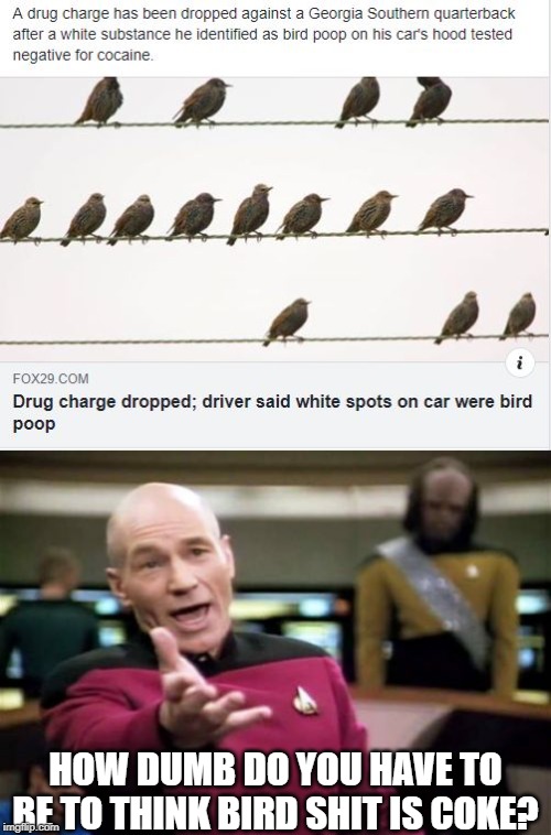 So White Spots on a Car are Drugs Now huh......... | HOW DUMB DO YOU HAVE TO BE TO THINK BIRD SHIT IS COKE? | image tagged in memes,picard wtf | made w/ Imgflip meme maker