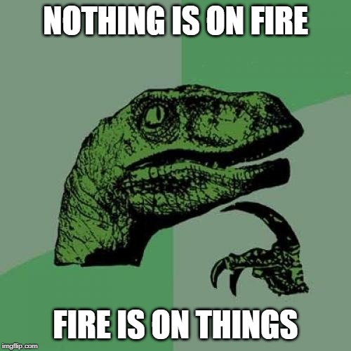 Philosoraptor Meme | NOTHING IS ON FIRE; FIRE IS ON THINGS | image tagged in memes,philosoraptor | made w/ Imgflip meme maker