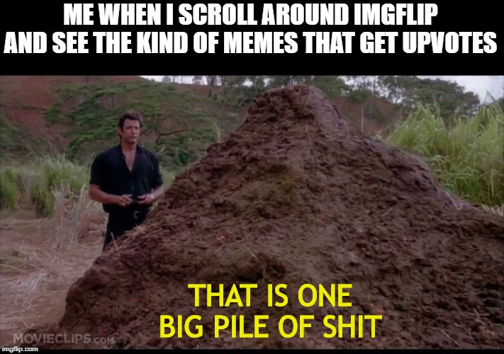 Upvote Better! | ME WHEN I SCROLL AROUND IMGFLIP AND SEE THE KIND OF MEMES THAT GET UPVOTES; THAT IS ONE BIG PILE OF SHIT | image tagged in that is one big pile of shit | made w/ Imgflip meme maker