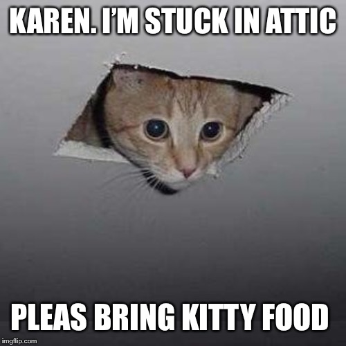 Ceiling Cat | KAREN. I’M STUCK IN ATTIC; PLEAS BRING KITTY FOOD | image tagged in memes,ceiling cat | made w/ Imgflip meme maker