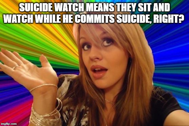 Dumb Blonde Meme | SUICIDE WATCH MEANS THEY SIT AND WATCH WHILE HE COMMITS SUICIDE, RIGHT? | image tagged in memes,dumb blonde | made w/ Imgflip meme maker