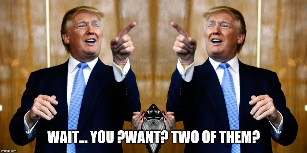 WAIT… YOU ?WANT? TWO OF THEM? | image tagged in donal trump birthday | made w/ Imgflip meme maker