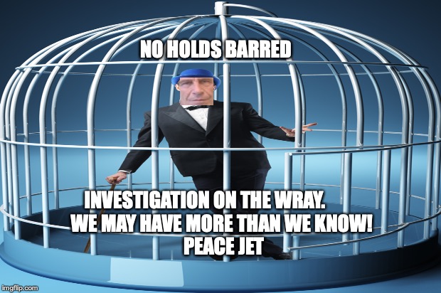 Jeffrey Epstein | NO HOLDS BARRED; INVESTIGATION ON THE WRAY.          
WE MAY HAVE MORE THAN WE KNOW! 

PEACE JET | image tagged in jeffrey epstein,epstein island,lolita express,birds sing | made w/ Imgflip meme maker