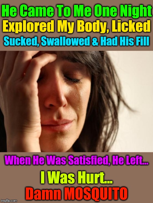 First World Problems Meme | He Came To Me One Night; Explored My Body, Licked; Sucked, Swallowed & Had His Fill; When He Was Satisfied, He Left... I Was Hurt... Damn MOSQUITO | image tagged in memes,first world problems | made w/ Imgflip meme maker