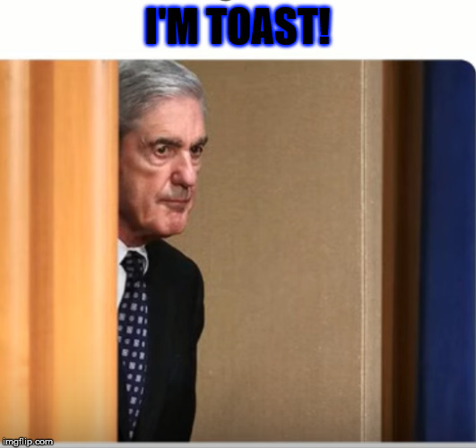 THE MULLER REPORT: | I'M TOAST! | image tagged in loud voice | made w/ Imgflip meme maker