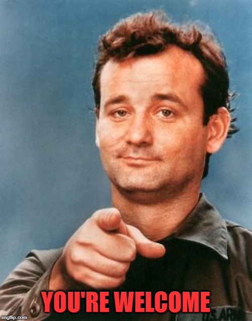 Bill Murray You're Awesome | YOU'RE WELCOME | image tagged in bill murray you're awesome | made w/ Imgflip meme maker
