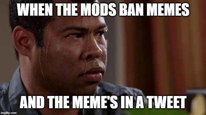 sweating bullets | WHEN THE MODS BAN MEMES; AND THE MEME'S IN A TWEET | image tagged in sweating bullets | made w/ Imgflip meme maker