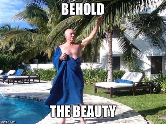 Behold Sir Patrick Stewart | BEHOLD THE BEAUTY | image tagged in behold sir patrick stewart | made w/ Imgflip meme maker