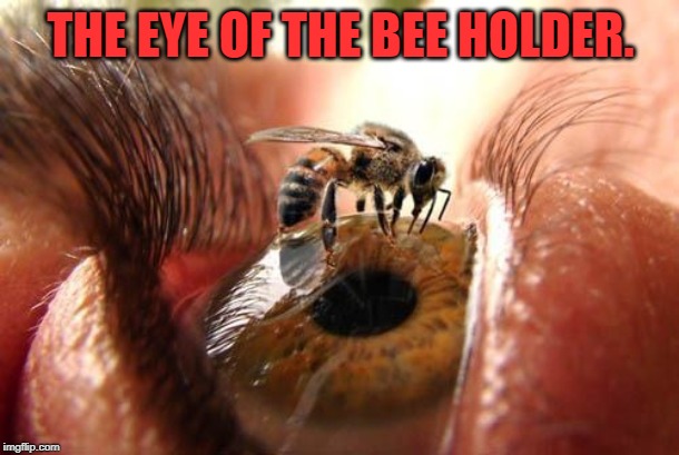 THE EYE OF THE BEE HOLDER. | made w/ Imgflip meme maker