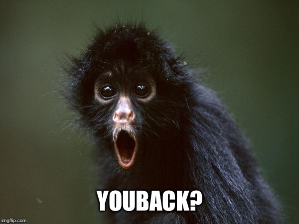 ooooh | YOU BACK? | image tagged in ooooh | made w/ Imgflip meme maker