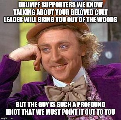 Creepy Condescending Wonka Meme | DRUMPF SUPPORTERS WE KNOW TALKING ABOUT YOUR BELOVED CULT LEADER WILL BRING YOU OUT OF THE WOODS; BUT THE GUY IS SUCH A PROFOUND IDIOT THAT WE MUST POINT IT OUT TO YOU | image tagged in memes,creepy condescending wonka | made w/ Imgflip meme maker