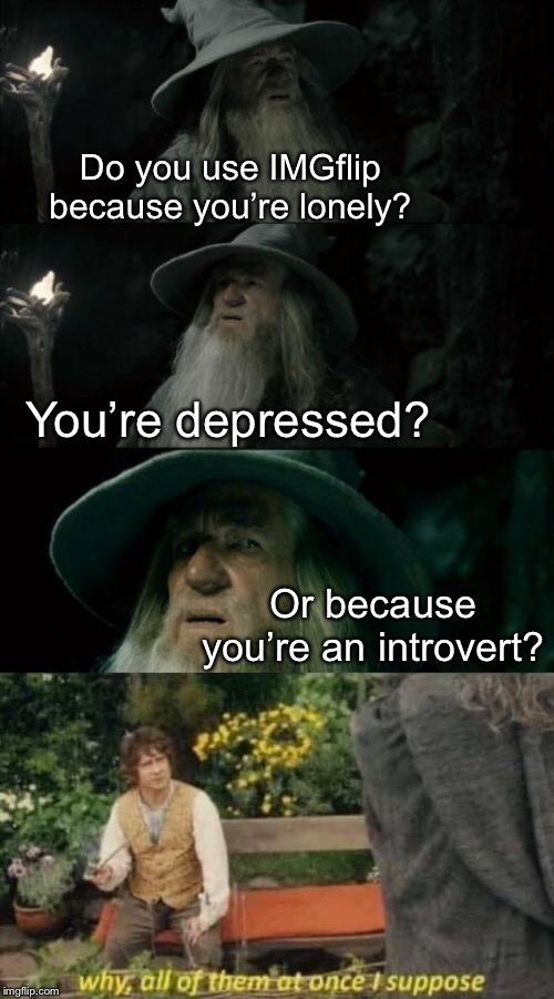 He tells it like it is. | Do you use IMGflip because you’re lonely? You’re depressed? Or because you’re an introvert? | image tagged in confused gandalf,bilbo baggins,introvert,depressed,lonely,hobbit | made w/ Imgflip meme maker