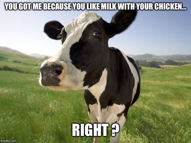 cow | YOU GOT ME BECAUSE YOU LIKE MILK WITH YOUR CHICKEN... RIGHT ? | image tagged in cow | made w/ Imgflip meme maker