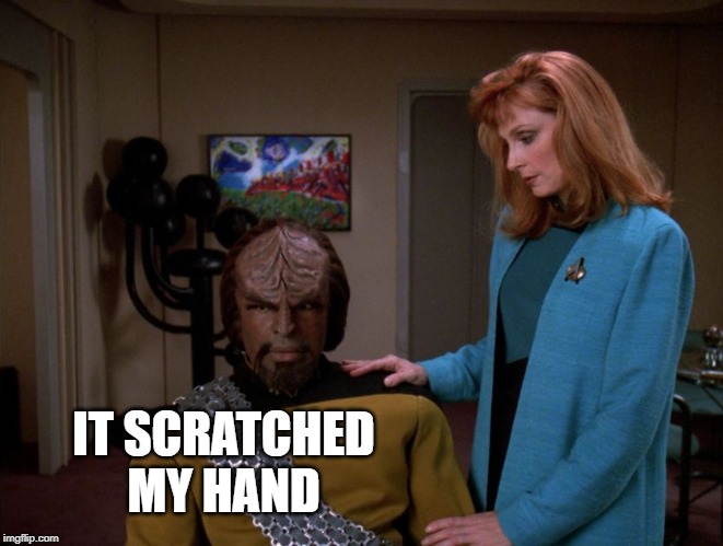 It's okay, Worf. | IT SCRATCHED MY HAND | image tagged in it's okay worf | made w/ Imgflip meme maker