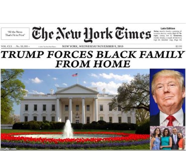 NYT Headline | image tagged in nyt headline | made w/ Imgflip meme maker