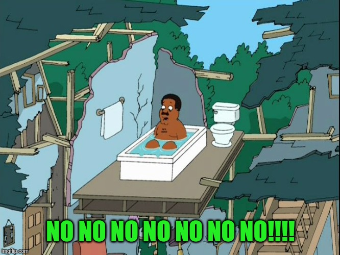 Cleveland Bathtub | NO NO NO NO NO NO NO!!!! | image tagged in cleveland bathtub | made w/ Imgflip meme maker