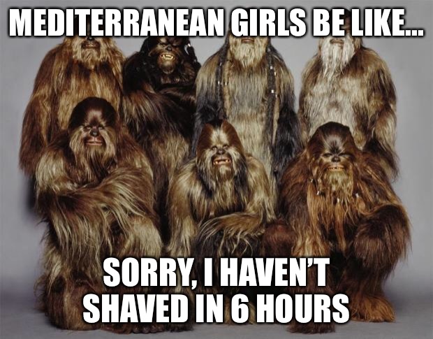 Wookies, Star Wars, Forest World Problems | MEDITERRANEAN GIRLS BE LIKE... SORRY, I HAVEN’T SHAVED IN 6 HOURS | image tagged in wookies star wars forest world problems | made w/ Imgflip meme maker