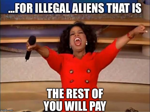 Oprah You Get A Meme | ...FOR ILLEGAL ALIENS THAT IS THE REST OF YOU WILL PAY | image tagged in memes,oprah you get a | made w/ Imgflip meme maker