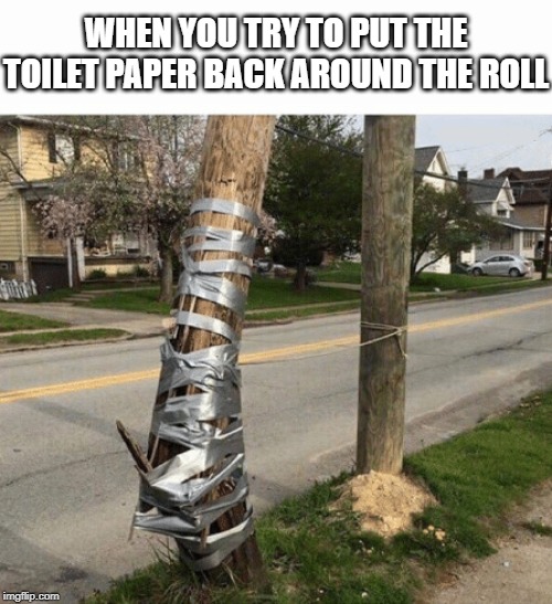 Pole Held With Duct Tape | WHEN YOU TRY TO PUT THE TOILET PAPER BACK AROUND THE ROLL | image tagged in pole held with duct tape | made w/ Imgflip meme maker