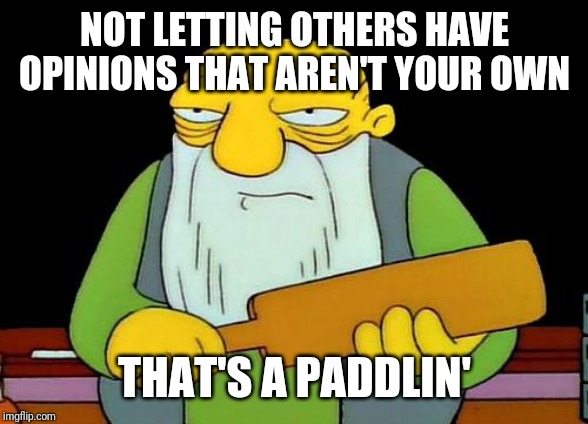 Just let people have opinions that aren't your own | NOT LETTING OTHERS HAVE OPINIONS THAT AREN'T YOUR OWN; THAT'S A PADDLIN' | image tagged in memes,that's a paddlin' | made w/ Imgflip meme maker