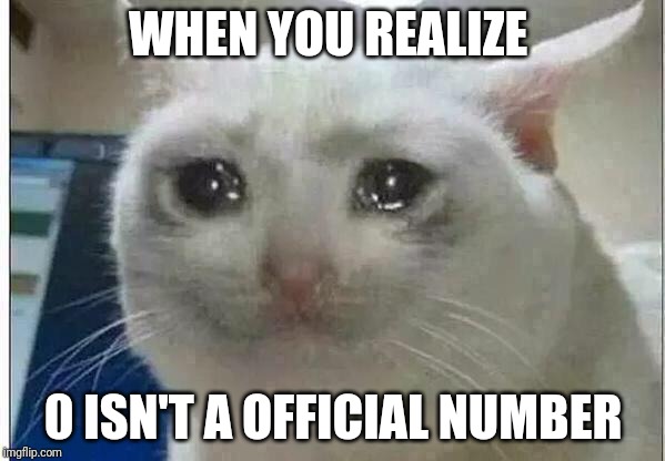 crying cat | WHEN YOU REALIZE; 0 ISN'T A OFFICIAL NUMBER | image tagged in crying cat | made w/ Imgflip meme maker