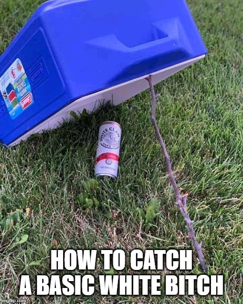 It's a Trap! | HOW TO CATCH A BASIC WHITE BITCH | image tagged in white claws woman | made w/ Imgflip meme maker